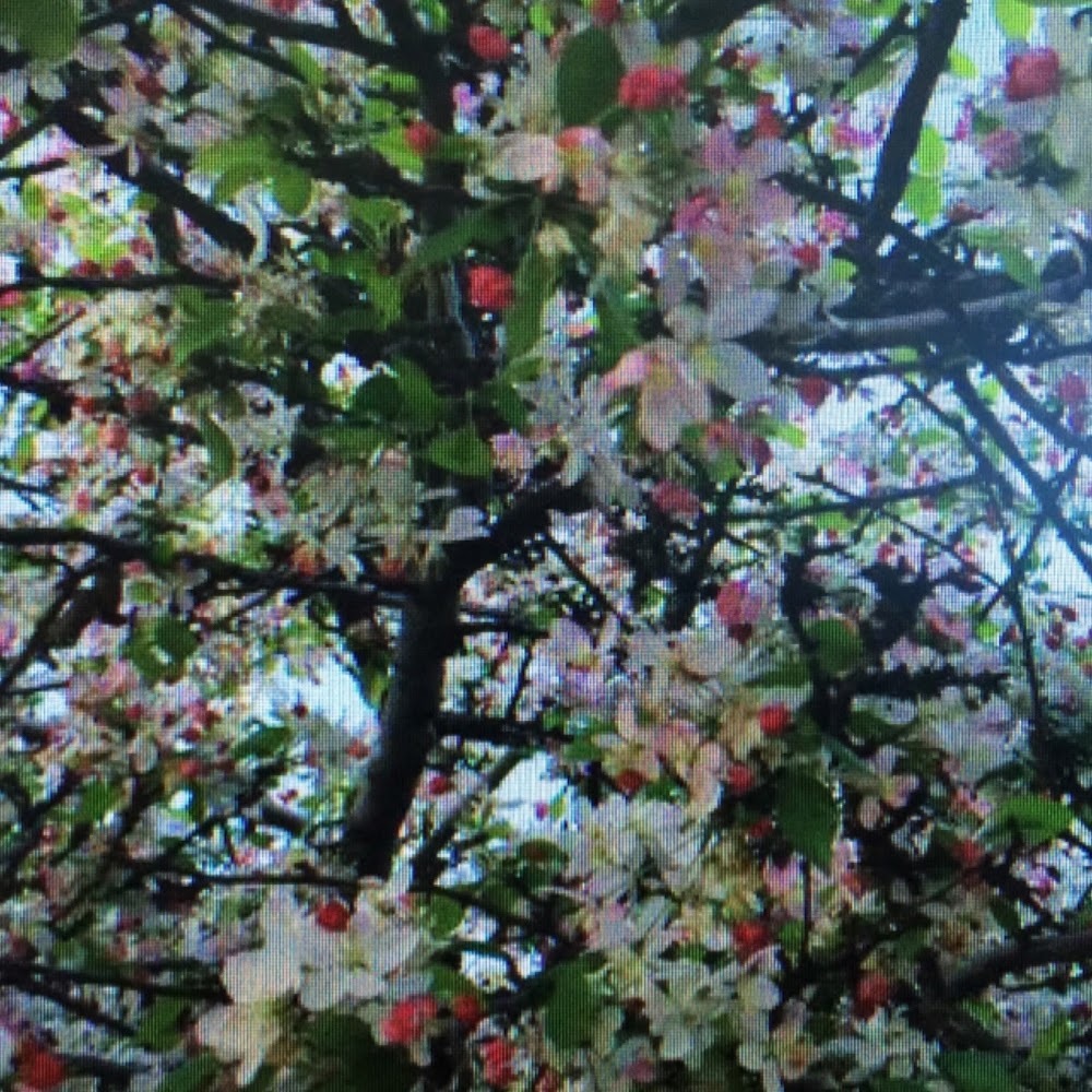 Meet your Posher, Leslie